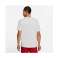 T-shirt Nike Dri-FIT Tortue 100 photo 5