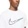 Camiseta Nike Dri-FIT Training 100 fotografía 8