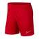 Kraťasy Nike Dry Academy 657 fotka 1