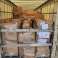 Whole Truck 33 Mix pallet: giocattoli, arredamento per la casa, fitness foto 6