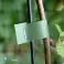 Acoplador profissional para amarrar plantas, simples e rápido - PLANTBRAND foto 5