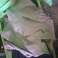 Tweedehands kleding vanaf € 0,50 / kilo foto 3