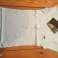 RIPPSHIRT ALPHA INDUSTRIES ΡΟΖ ΚΑΙ ΜΠΛΕ εικόνα 3