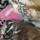 Shein Damenbekleidung | Bekleidungspisten Bild 5