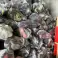 Verkauf von gebrauchten Schuhen pro Kilo Bild 3