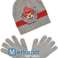 Angry Birds Wintermütze und Handschuhe Sets | Großpackung mit 46 Stück | Größen 52-54 cm Bild 2
