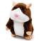 Hamsty Bild 3