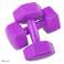 HEX weights 4kg purple 2x2kg FA1032 image 1