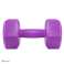 HEX weights 4kg purple 2x2kg FA1032 image 2