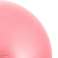 Gymnastic exercise ball 75cm rehabilitation pink FB0012 image 3