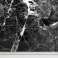 Marble Patterned Styrofoam Facade Panel Olive Black image 7