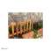 City Natural Raw Wood Deko Gartenzaun Bild 3