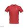 STOCK POLO HERREN AVIREX S / S Bild 3
