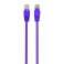 CableXpert CAT5e UTP Patch cord, purple, 0.5 m - PP12-0.5M/V image 2