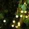 Garden garland TRACER solar 30 LED 30 bulbs TRAOSW46830 image 3