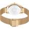Bare Cavalli Lady JC Shine 2 JC1L057M0335 billede 1