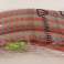 HULA HOP SLIMMING FOLDING MIT SCHIENEN, DIE MIT SCHAUMMISCHUNG AUS FAR Bild 8