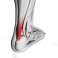Wellys Ankle Gel Cushion &amp; Brace   Pair image 3