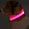 COLLIER LED BRILLANT POUR CHIEN SUR PILES RÉGLABLES photo 1