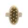 Natural Dry and Wet Body Massage Brush with Detachable Wooden Handle image 1