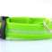 COLLIER LED BRILLANT POUR CHIEN SUR PILES RÉGLABLES photo 2