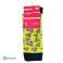 Funny/Crazy Sokken - BROWNIE Patroon - Poolse Productie - Maten 39-42, 43-46 foto 1