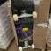 New skateboards image 4