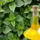 Nettle Oil 500 ML image 3