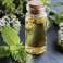 Aceite de menta puro 100 ML - Grado cosmético y fabricación de jabón fotografía 1