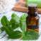 Aceite de menta puro 100 ML - Grado cosmético y fabricación de jabón fotografía 2