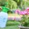 Versatile 2L Hand Pressure Sprayer for Gardening and Professional Applications image 1