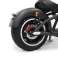 Mangosteen M1P Elektro-Roller | Elektro-Chopper Bild 6