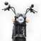 Mangosteen M1P Elektro-Roller | Elektro-Chopper Bild 5