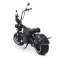 Mangostan M8 | Citycoco Zerkleinerer | Elektrisches Motorrad Bild 2