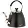 Premium Stainless Steel Tea Kettle with Filter, 1L Capacity for Induction &amp; All Heat Sources - KB-7570 image 1