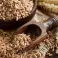 Wheat – Durum/ Soft/ Red Hard/ Milling image 1