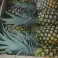 ANANAS SWEET MD2 / ANANAS SWEET BIO / ANANS AVION DE COTE D&#039;IVOIRE photo 3