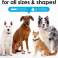 DogRook Collier anti-aboiement rechargeable pour chien – Sans cruauté, sans choc photo 3