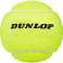 Тенісні м'ячі Dunlop Australian Open 4шт P6448 зображення 2