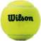 Wilson Şampiyonası tenis topları 3 adet WRT100101 WRT100101 fotoğraf 1