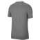 Men's T-shirt Nike Dri-FIT Park 20 Polo SS grey CW6933 071 CW6933 071 image 1