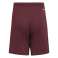 Kids Shorts adidas Squadra 21 Short Burgundy GN8081 GN8081 foto 1