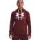 Sudadera de mujer Under Armour Rival Fleece Logo Sudadera con capucha burdeos 1356318 690 1356318 690 fotografía 2