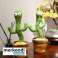 Jouet cactus chantant et dansant avec 120 chansons - Jouet unique DANCETUS photo 1