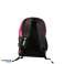 ARENA POOL BACKPACK TEAM BACKPACK 30 PINK MELANGE 002481/900 image 2