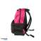 ARENA POOL BACKPACK TEAM BACKPACK 30 PINK MELANGE 002481/900 image 3