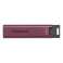 Kingston DataTraveler Max 256 GB USB Flash DTMAXA/256GB slika 1