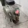 EV 2000 | Elektroroller | Jetzt in unserem Lager in Holland vorrätig!! Bild 2