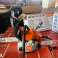 Açık artırma: Motorlu testere (yeni) - (Stihl, MS 162) fotoğraf 1
