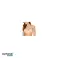 Glamor Mix Lingerie &Underwear - Diverse veel lingerie, slipjes, bh-sets en meer foto 4